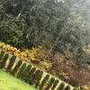 Damiancolebourne - @scolebourne - TikTok