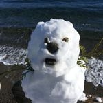Damian Browne - @browne_damian - Instagram