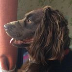 Damian Burns - Facebook