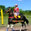 Carlitos🏇 - @damianchavez.09 - TikTok