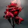 damianchavez361 - @damianchavez361 - TikTok