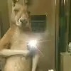 damiancho22 - @damiancho22 - TikTok
