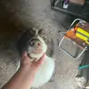 Damian Dunn - @damian.dunn6 - TikTok