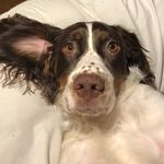Damian Dyer - @dyer_damian - Instagram