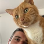Damian Everett - @damianeverett24 - Instagram