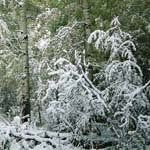 DamianEverett - @damianeverettu - Instagram