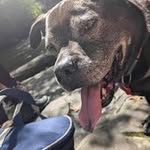 Damian Falchetti - @omen412 - Instagram