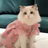 damianjfloyd - @damianjfloyd - TikTok