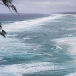 Damian Ford - @damian.ford.39794 - Instagram