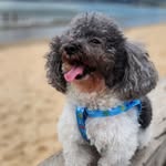@damian_freeman_028 - Instagram