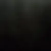 zayafaimalilyuhh what - @damiangaines181 - TikTok