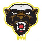 Damian Gallagher - @honeybadgergaming0 - Instagram