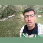 Damian Gallo - @damiangallo52 - Instagram
