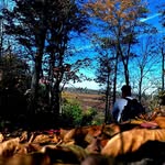 Damian Gates - @gatesdamian16 - Instagram