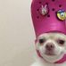 Damian Gee - Facebook