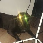 Damian Geerlings - @damian.geerlings - Instagram