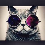 Damian Hall - @green_bay_the_best - Instagram
