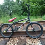Damian Hall - @damianhallbmx - Instagram