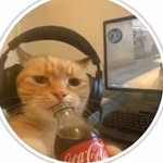 Damian Hall - @mr_fiji_water - Instagram