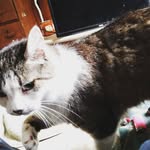 Damian Harmon - @damian1234590 - Instagram