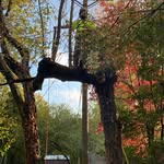 Damian Harmon - @damianh54 - Instagram