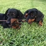 Damian Hearn - @damoh77 - Instagram