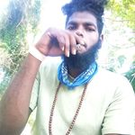 BABY BEAR - @damiankhan35 - Instagram