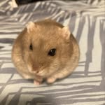 Damian Lloyd - @damz0005 - Instagram