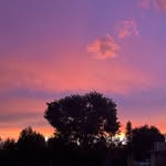Damian Lowe - @damianlowe1 - Instagram