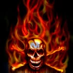 Damian_Lowe_king_Damo - @damian.lowe.376 - Instagram