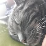 damian_and_moon - @damian_and_moon - Instagram