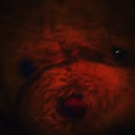 Damian Moon - @damianwmplays - Instagram
