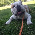 Damian Nelson - @damianleenelson - Instagram