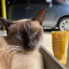 Damian NG - @damian.ng0 - TikTok
