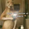 Damian Orrego - @damian.orrego8 - TikTok