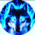 @damian_owca001 - Instagram