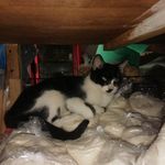 Damián partida - @partida2571 - Instagram
