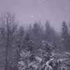 Damian Pasik671 - @damianpasik671 - TikTok