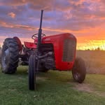 Damian Pearson - @damianpearson383 - Instagram