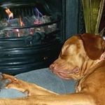 Damian Pearson - @damian.pearson1 - Instagram
