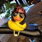 Damian Pereda Condez - @damian___duck - Instagram