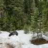 Damian Pool - @damianpool1 - TikTok