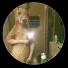 😎Damian Pool😎 - @damian.pool - TikTok