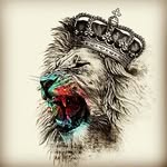 D.R - @damian_rasch - Instagram