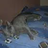 Roy Damian - @roy.damian31 - TikTok