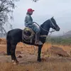 Damian🦁 - @damiansaavedra666 - TikTok