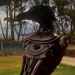 Peter Damian - @saunders_damian - Instagram