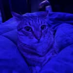 Damian schauer - @damian_from_school - Instagram