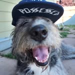 Damian Schmidt - @damian.schmidt.568 - Instagram