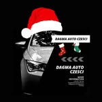 Damian Schmidt - @dagmaautoczesci - Instagram